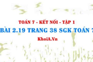 Bài 2.19 trang 38 SGK Toán 7 tập 1 Kết nối tri thức